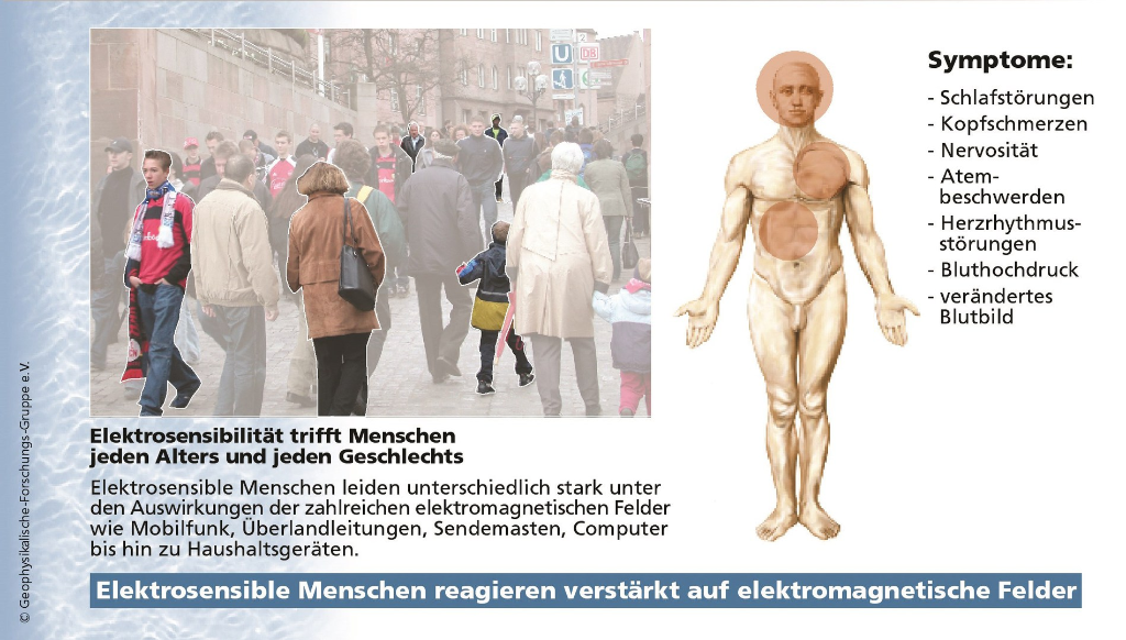 Elektrosensibilität