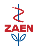 ZAEN Logo